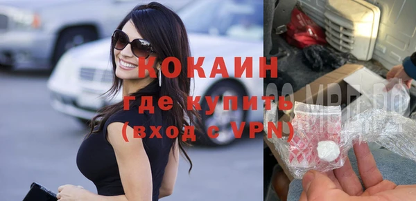 ГАЛЛЮЦИНОГЕННЫЕ ГРИБЫ Осинники