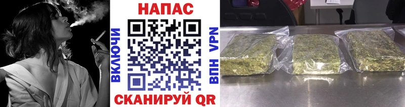 Купить где  Чёрмоз  Бошки Шишки семена 